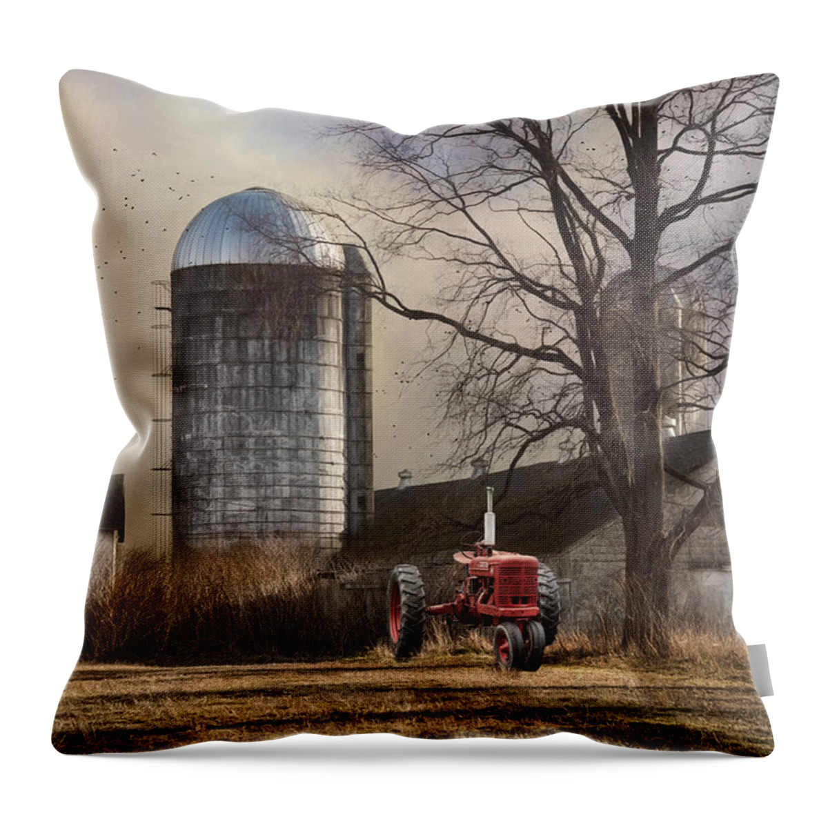 Farm Throw Pillow featuring the photograph A Day Off by Robin-Lee Vieira