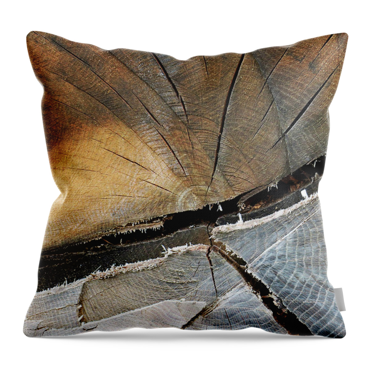 12.28.16_a Throw Pillow featuring the photograph A Dead Tree by Dorin Adrian Berbier