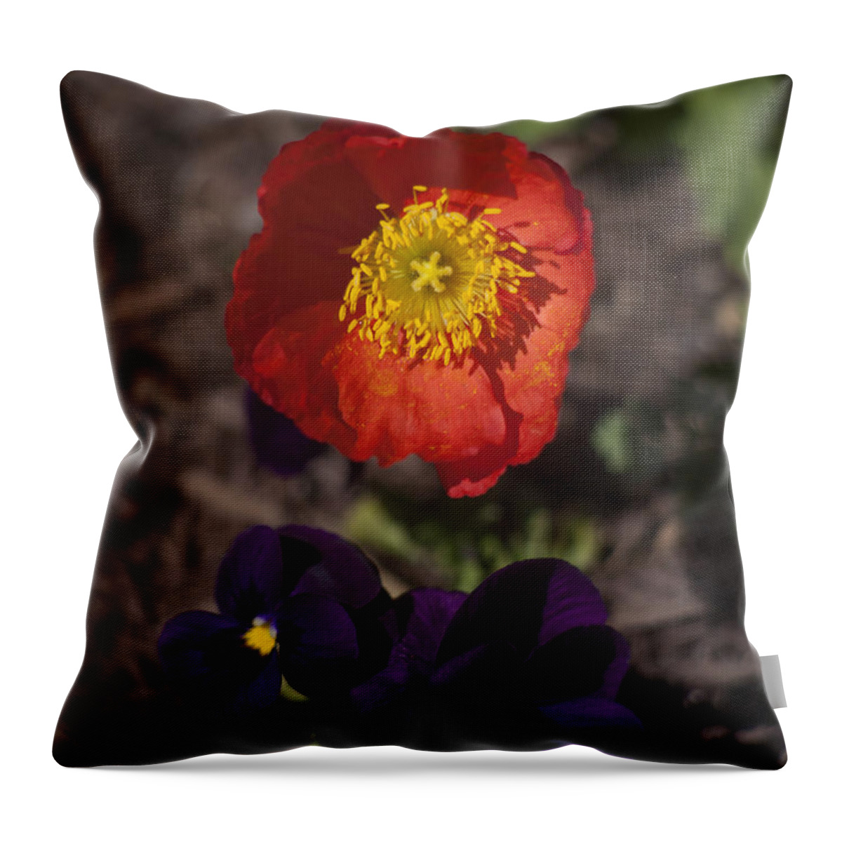 Poppy Throw Pillow featuring the photograph A Deep Richness by Morris McClung