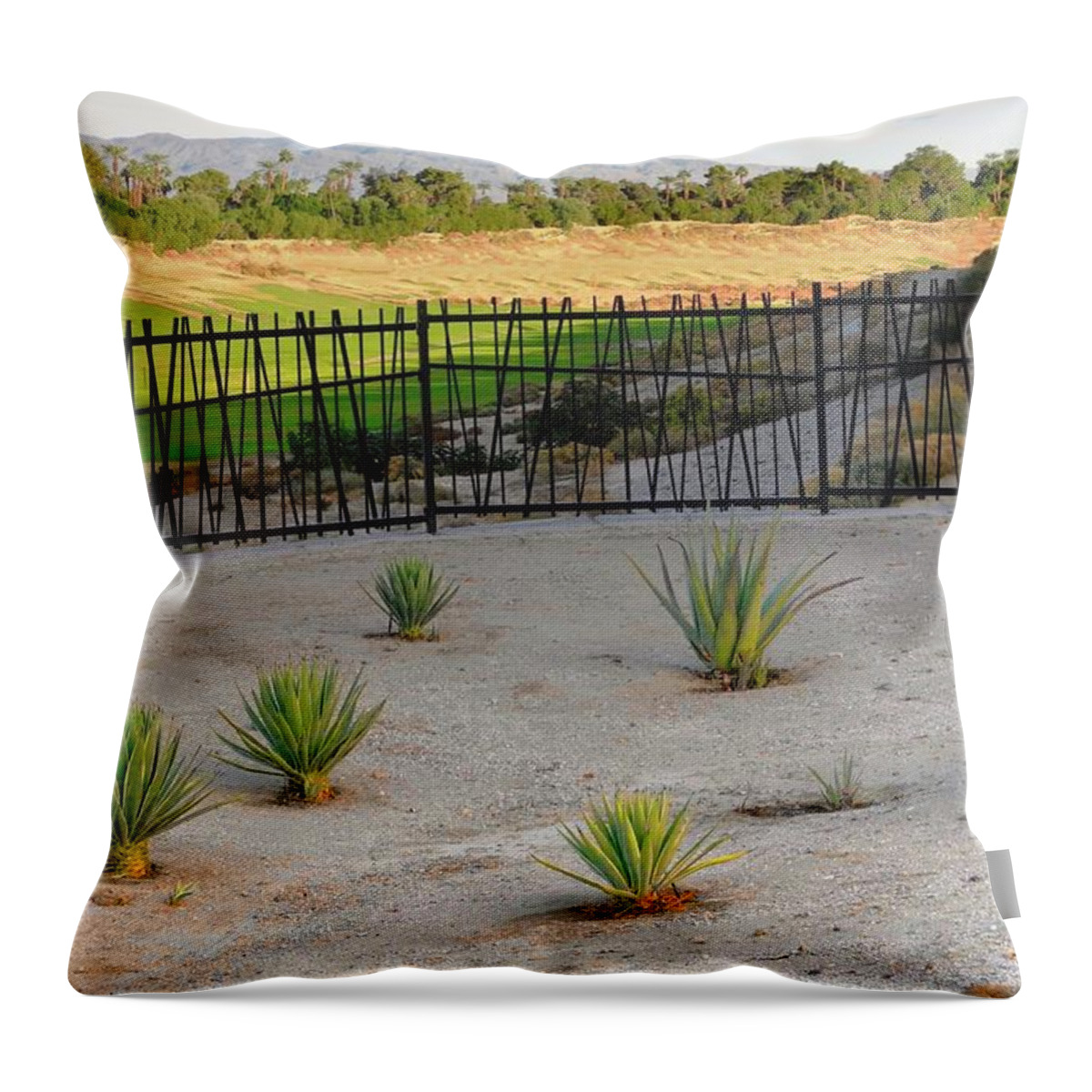 Rancho Mirage Throw Pillow featuring the photograph A Desert Scene Across the Arroyo by Kirsten Giving