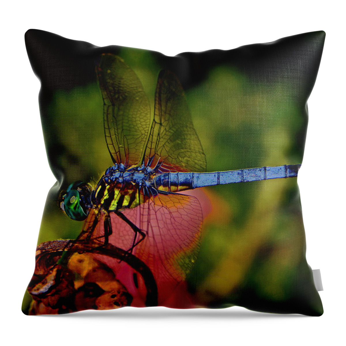 Insect Throw Pillow featuring the photograph A Dragonfly 028 by George Bostian