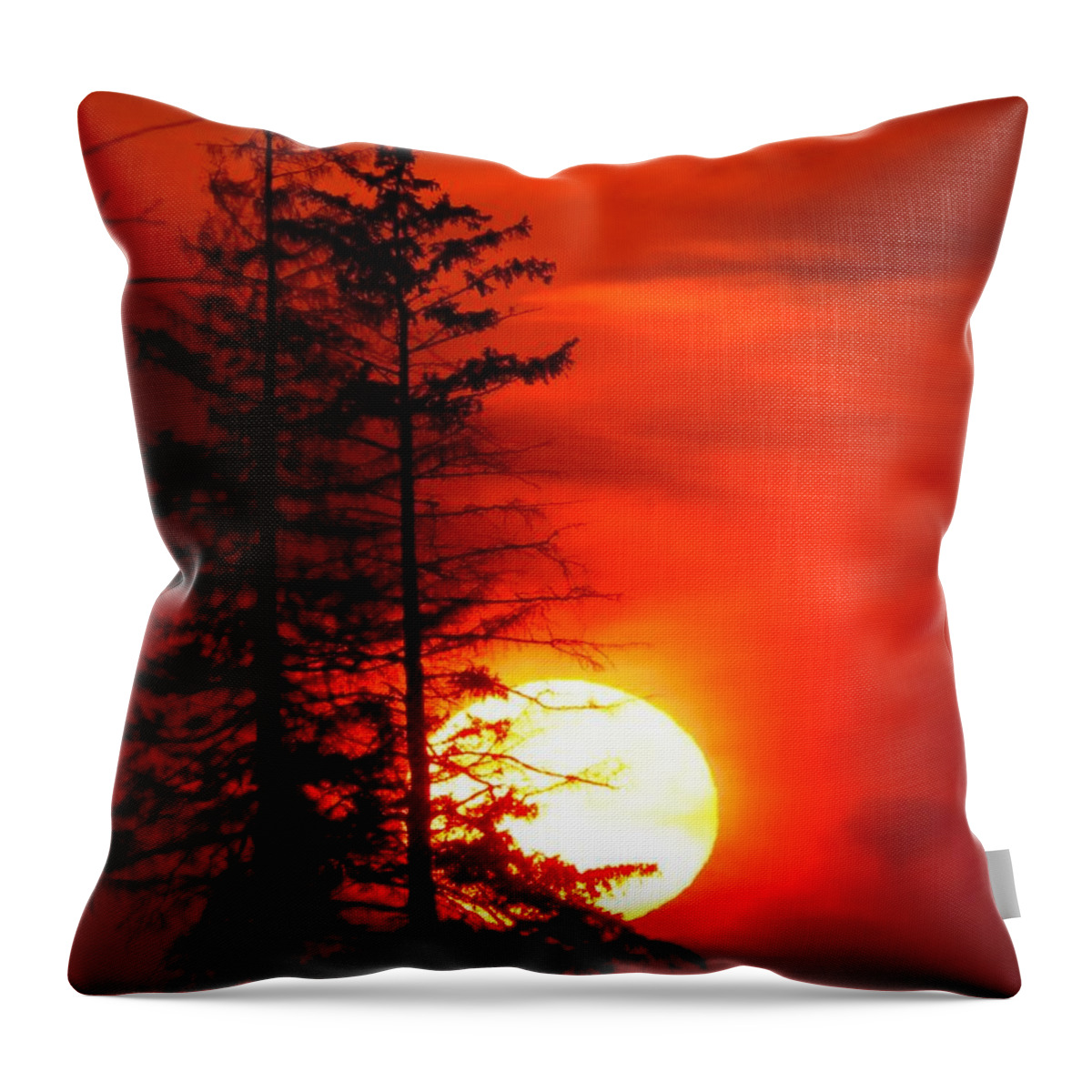 Sunset Throw Pillow featuring the photograph A Dramatic Ending by Lori Frisch