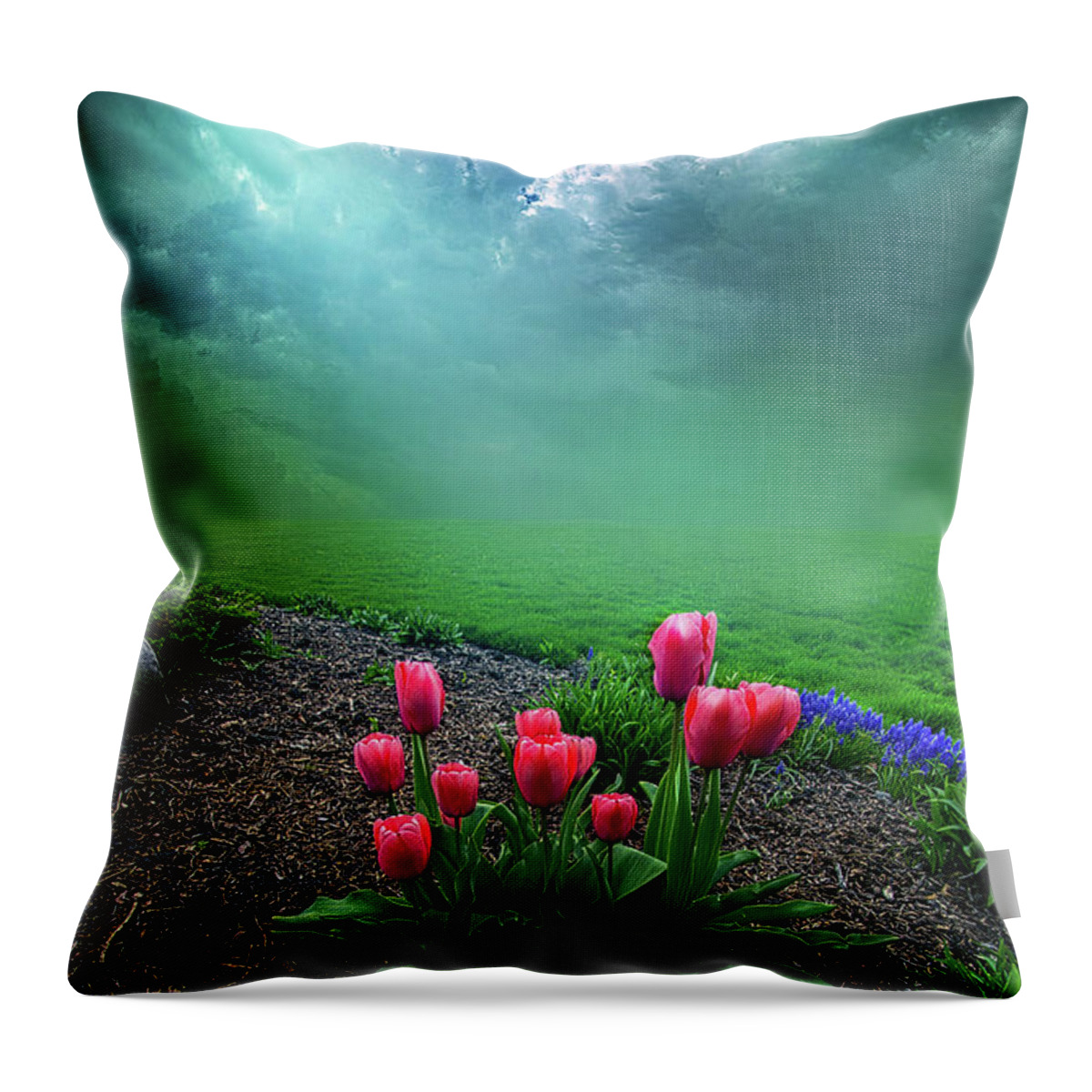 Clouds Throw Pillow featuring the photograph A Dream For You by Phil Koch