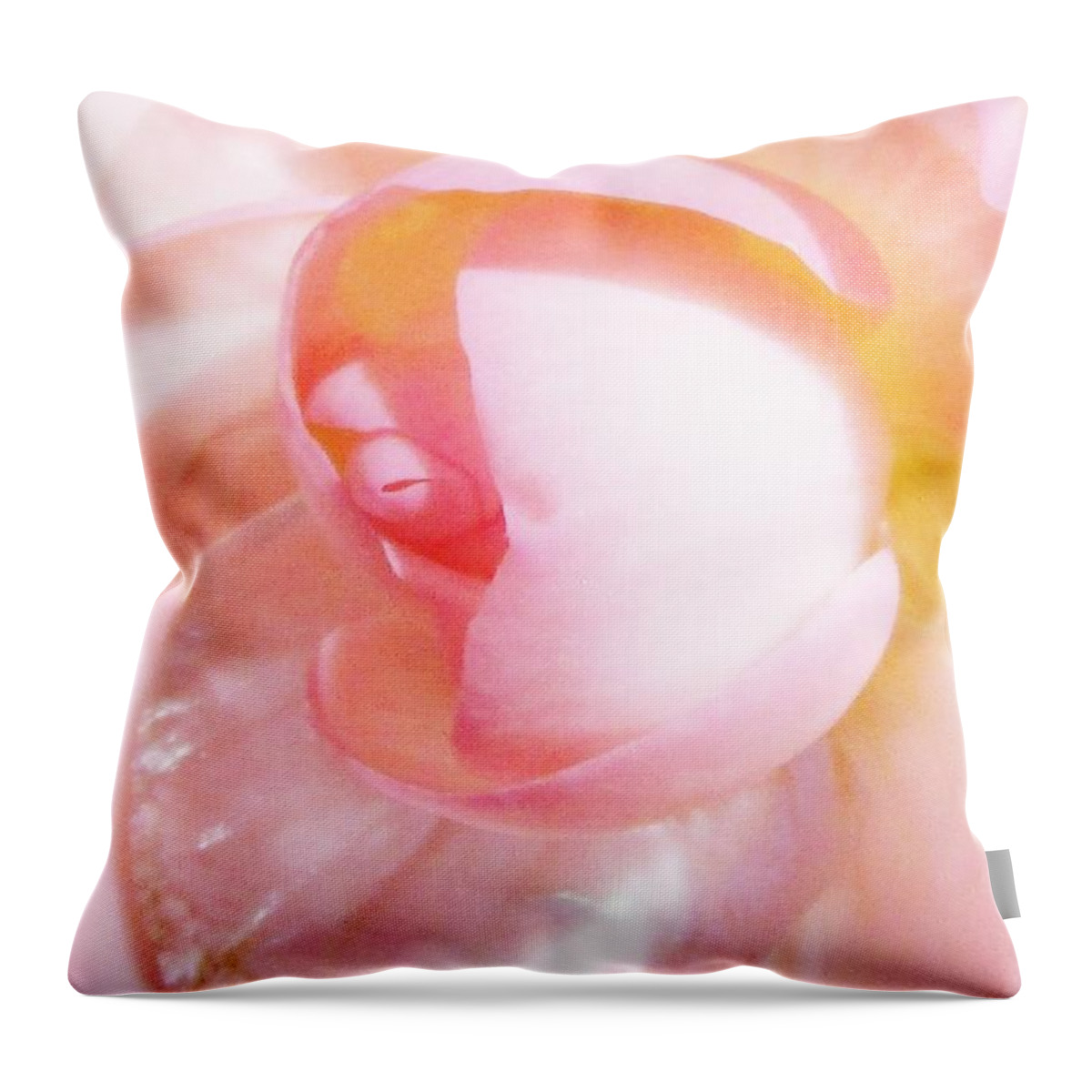 Soft Pink Throw Pillow featuring the photograph A Drop of Love by Sharon Ackley