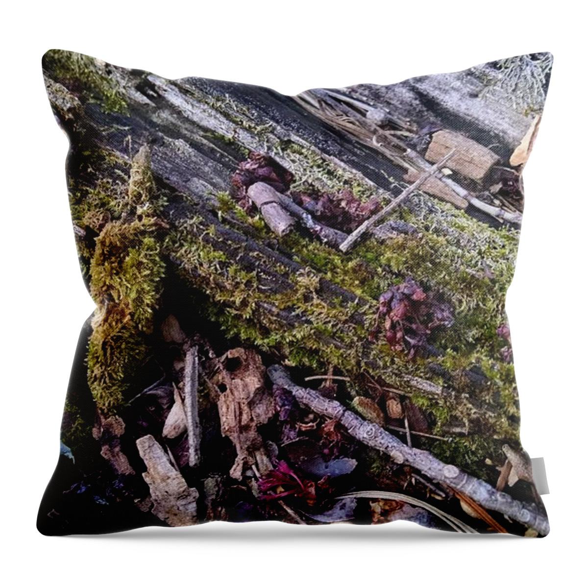 Tree Throw Pillow featuring the photograph A Familiar Place by Allen Nice-Webb