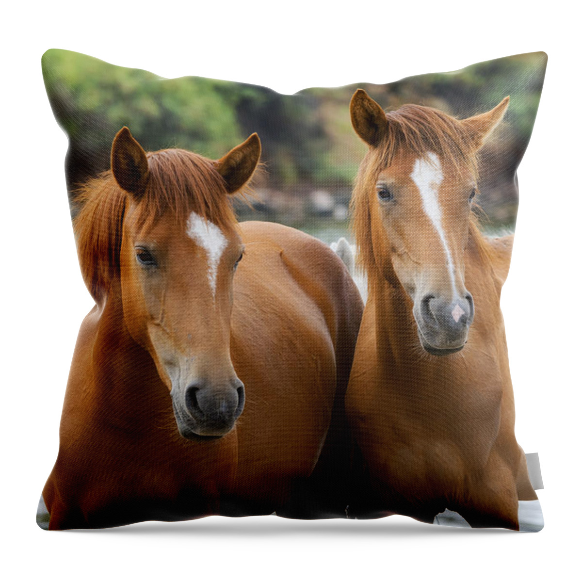 Wild Horses Throw Pillow featuring the photograph A Family Resemblance by Saija Lehtonen