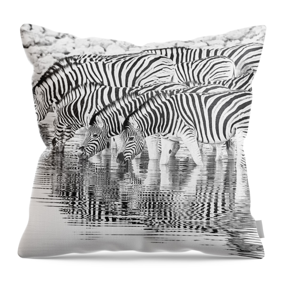 Africa Throw Pillow featuring the photograph A family that drinks together. by Usha Peddamatham