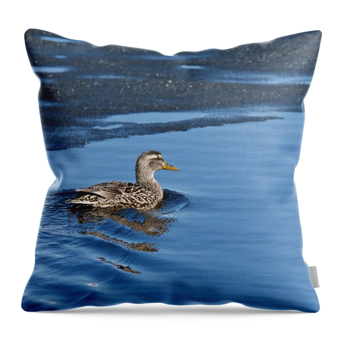 Duck Throw Pillow featuring the photograph A Female Mallard in Thunder Bay by Michael Peychich