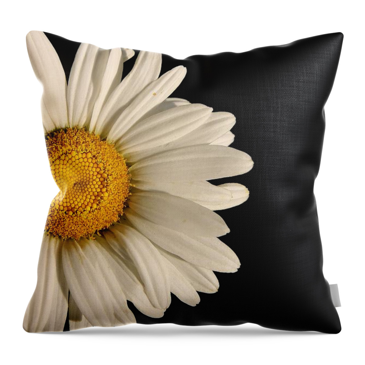 Beauty Throw Pillow featuring the photograph A Flower Named Daisy by David Andersen