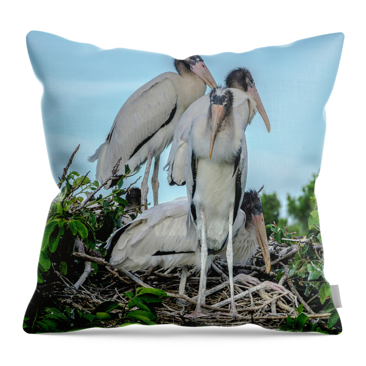 White Storks Throw Pillow featuring the photograph A full nest by Wolfgang Stocker
