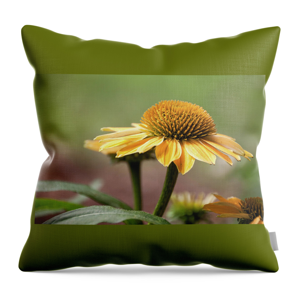 Golden Echinacea Throw Pillow featuring the photograph A Golden Echinacea - by Julie Weber