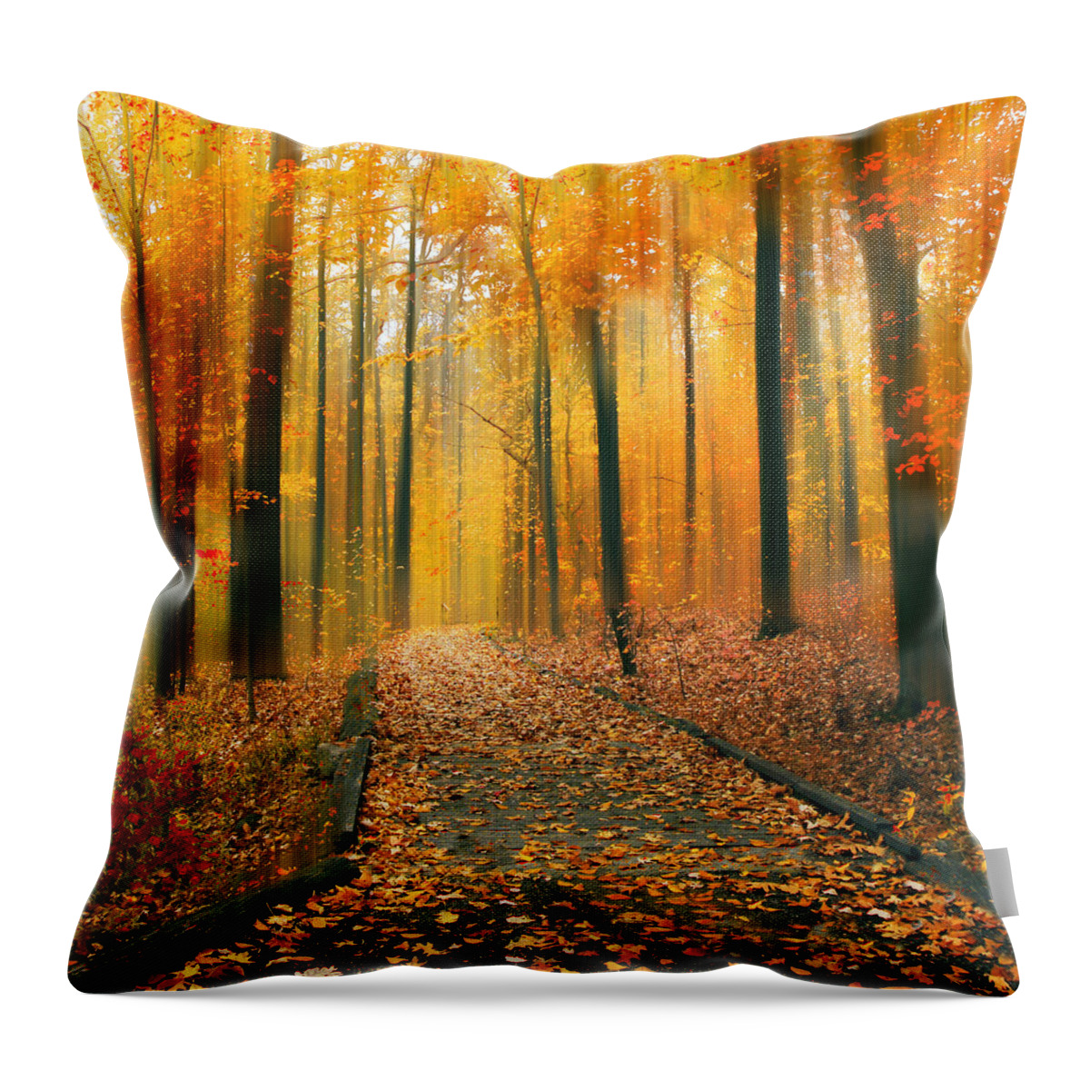 Autumn Throw Pillow featuring the photograph A Golden Passage by Jessica Jenney