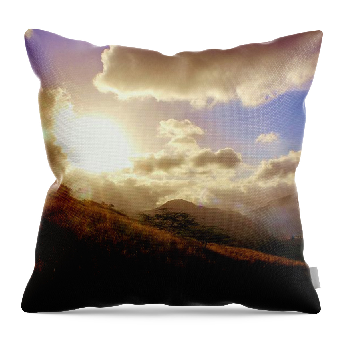Sunrise Throw Pillow featuring the photograph A Good Morning by Craig Wood