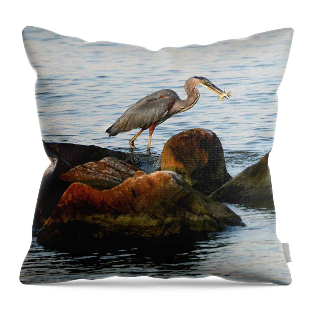 Ardea Herodias Throw Pillow featuring the photograph A Great Blue Heron Day by Patrick Wolf
