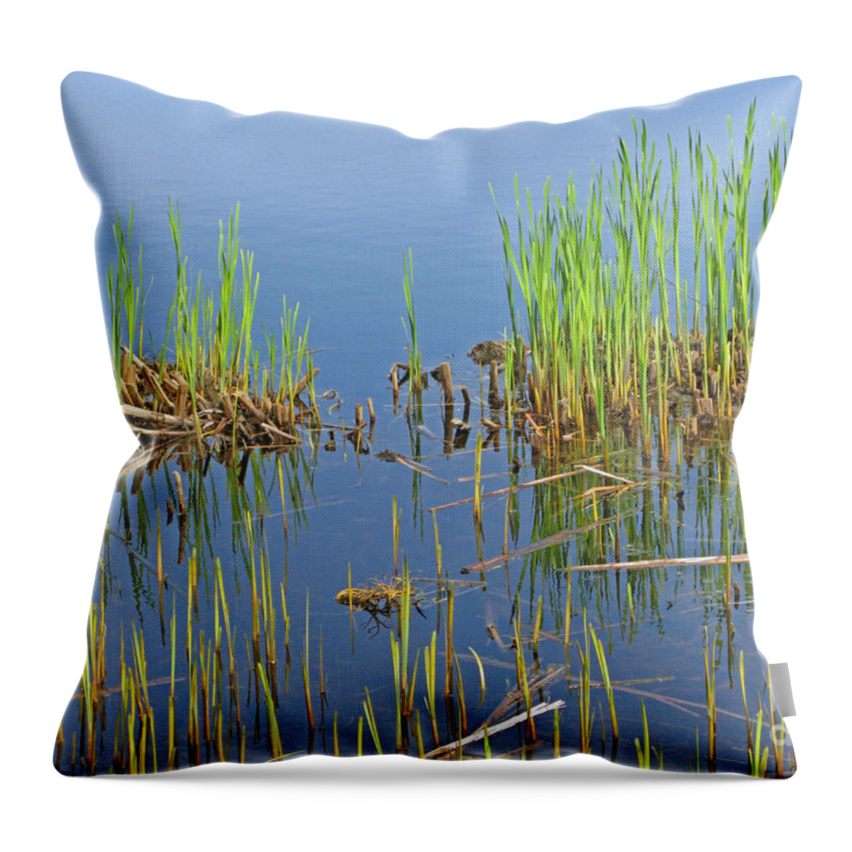 Spring Throw Pillow featuring the photograph A Greening Marshland by Ann Horn