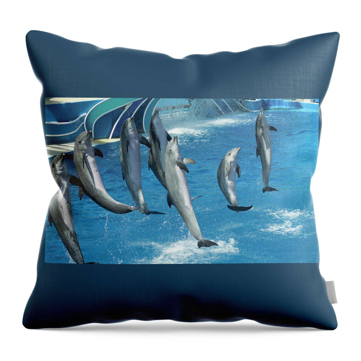 Animal Throw Pillow featuring the photograph A Group of Seven Dolphins Perform in an Oceanarium by Derrick Neill