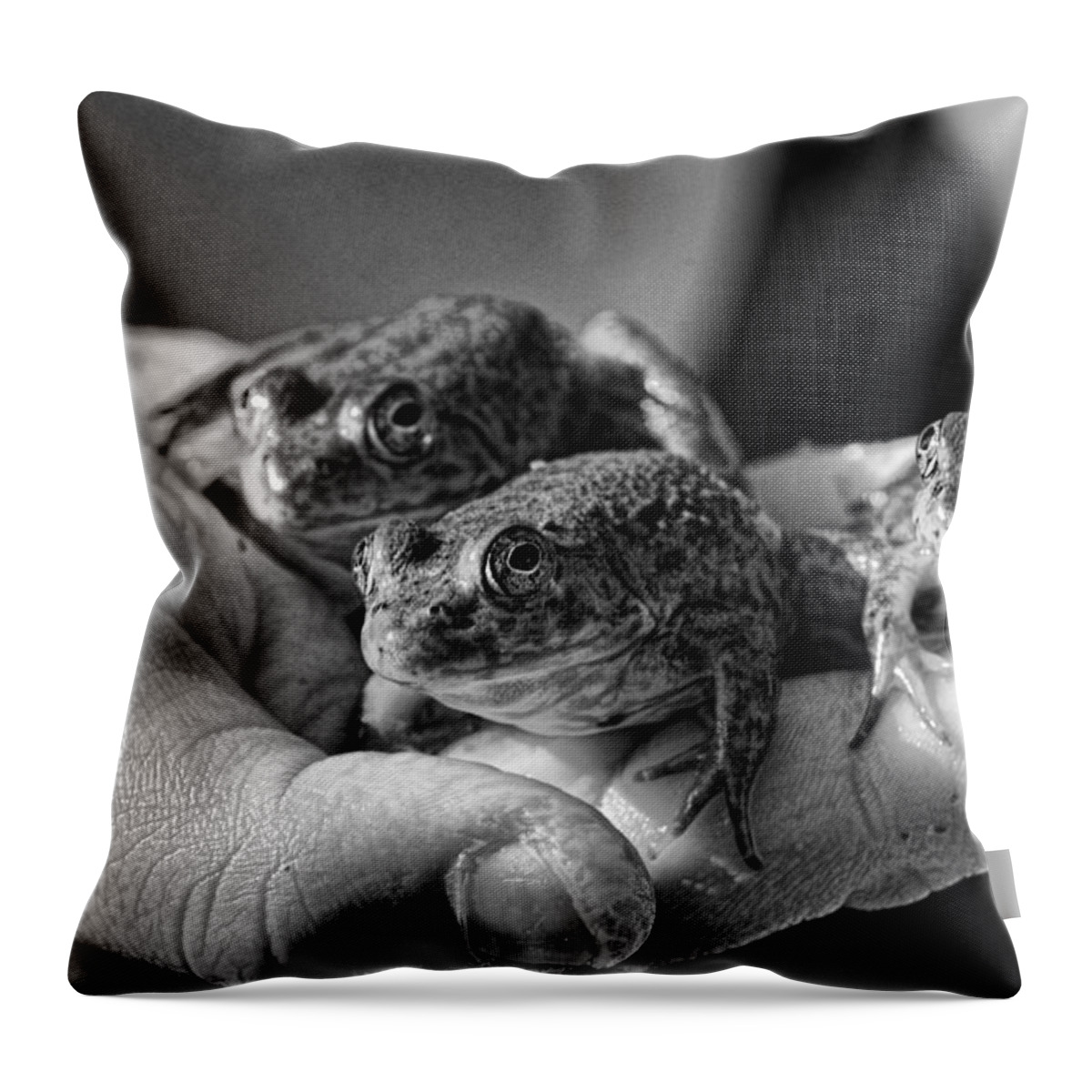 Frog Throw Pillow featuring the photograph A Hand Full by Sue Capuano
