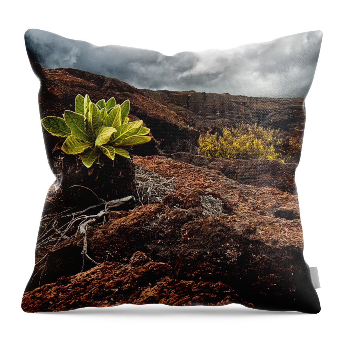 Hawaii Throw Pillow featuring the photograph A Hard Existence by Christopher Holmes