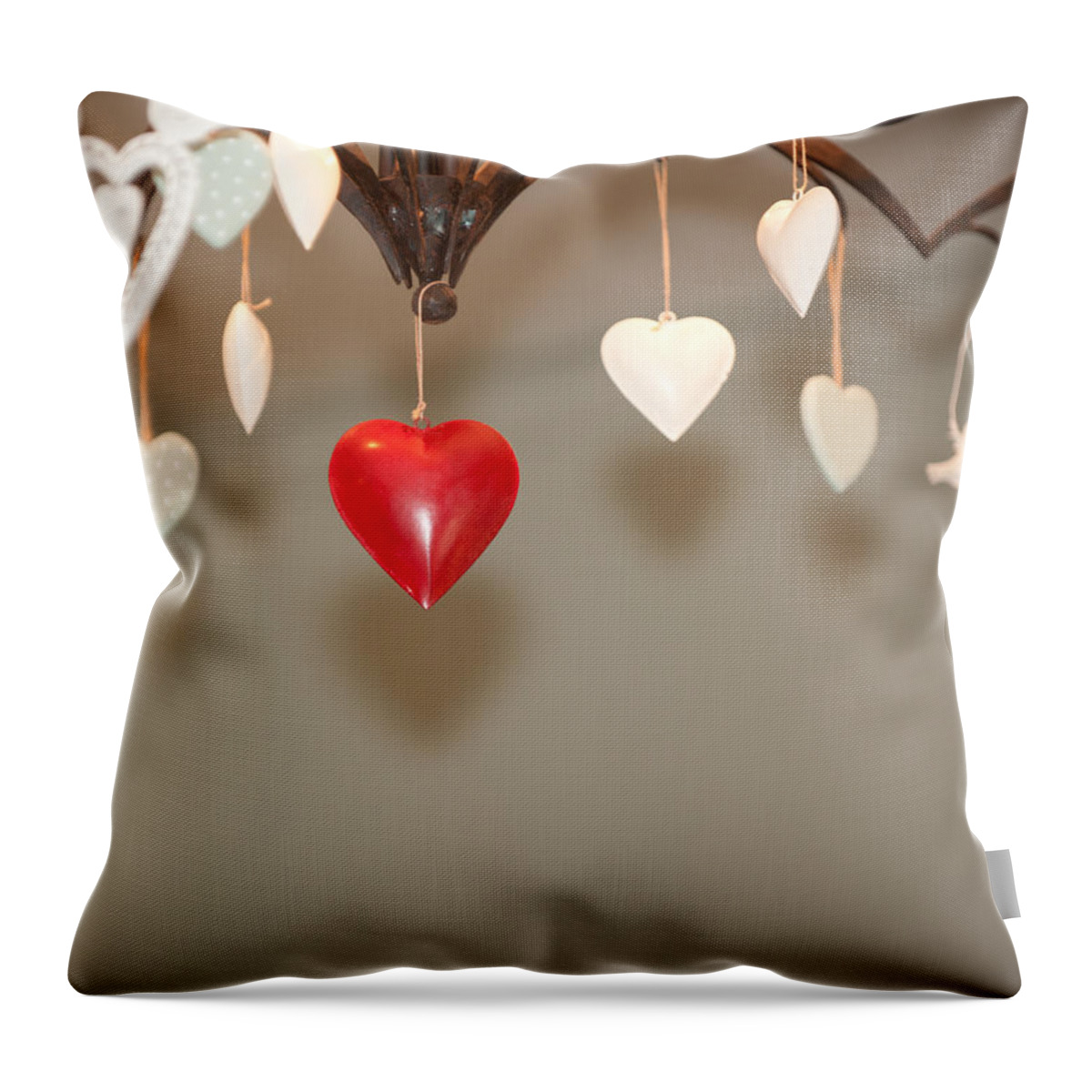 Heart Throw Pillow featuring the photograph A Heart Among Hearts i by Helen Jackson