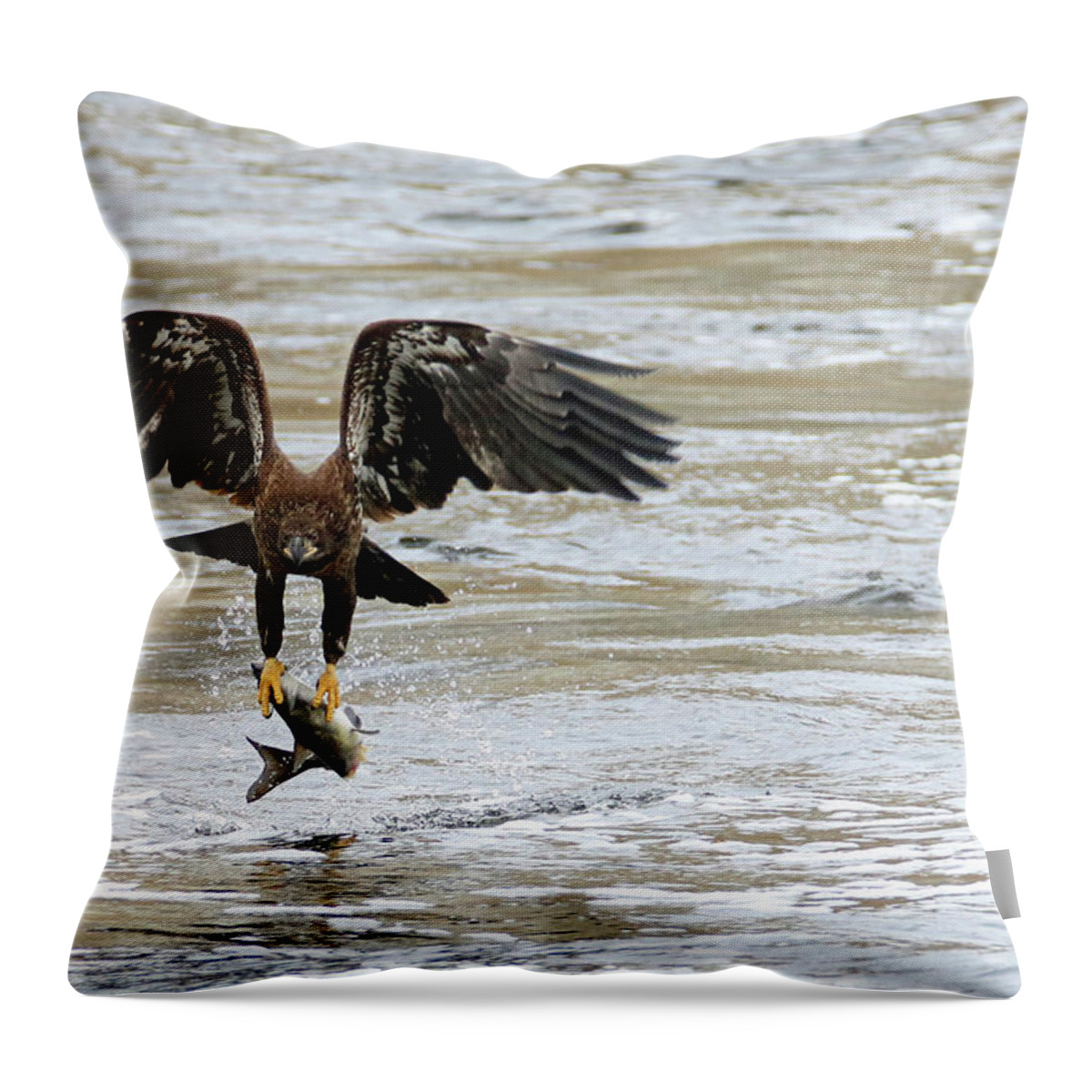 Bald Eagle Throw Pillow featuring the photograph A Heavy Meal by Brook Burling