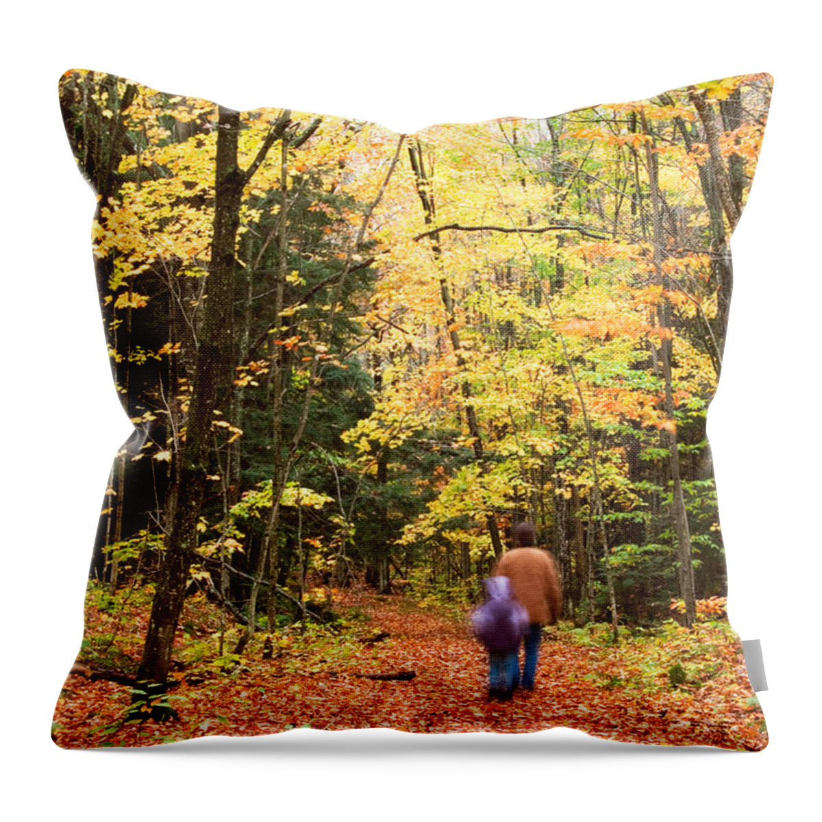 Landscape Throw Pillow featuring the photograph A Hike into the Forest by Amanda Kiplinger