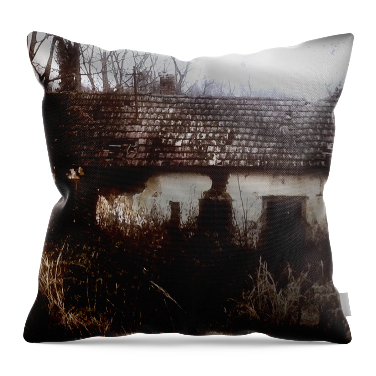 House Throw Pillow featuring the photograph A House in the Woods by Mimulux Patricia No