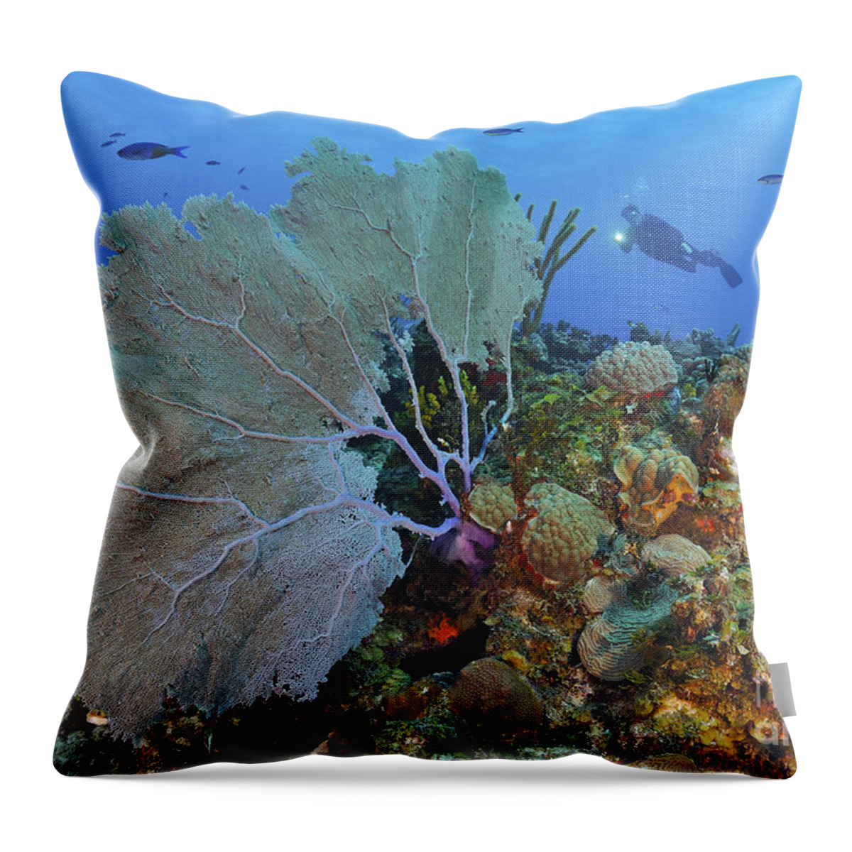 Sea Fans Throw Pillow featuring the photograph A Large Purple Sea Fan On Caribbean by Karen Doody
