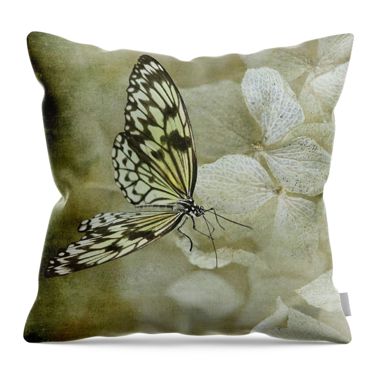 Butterfly Throw Pillow featuring the photograph A Lighter Touch by Lois Bryan