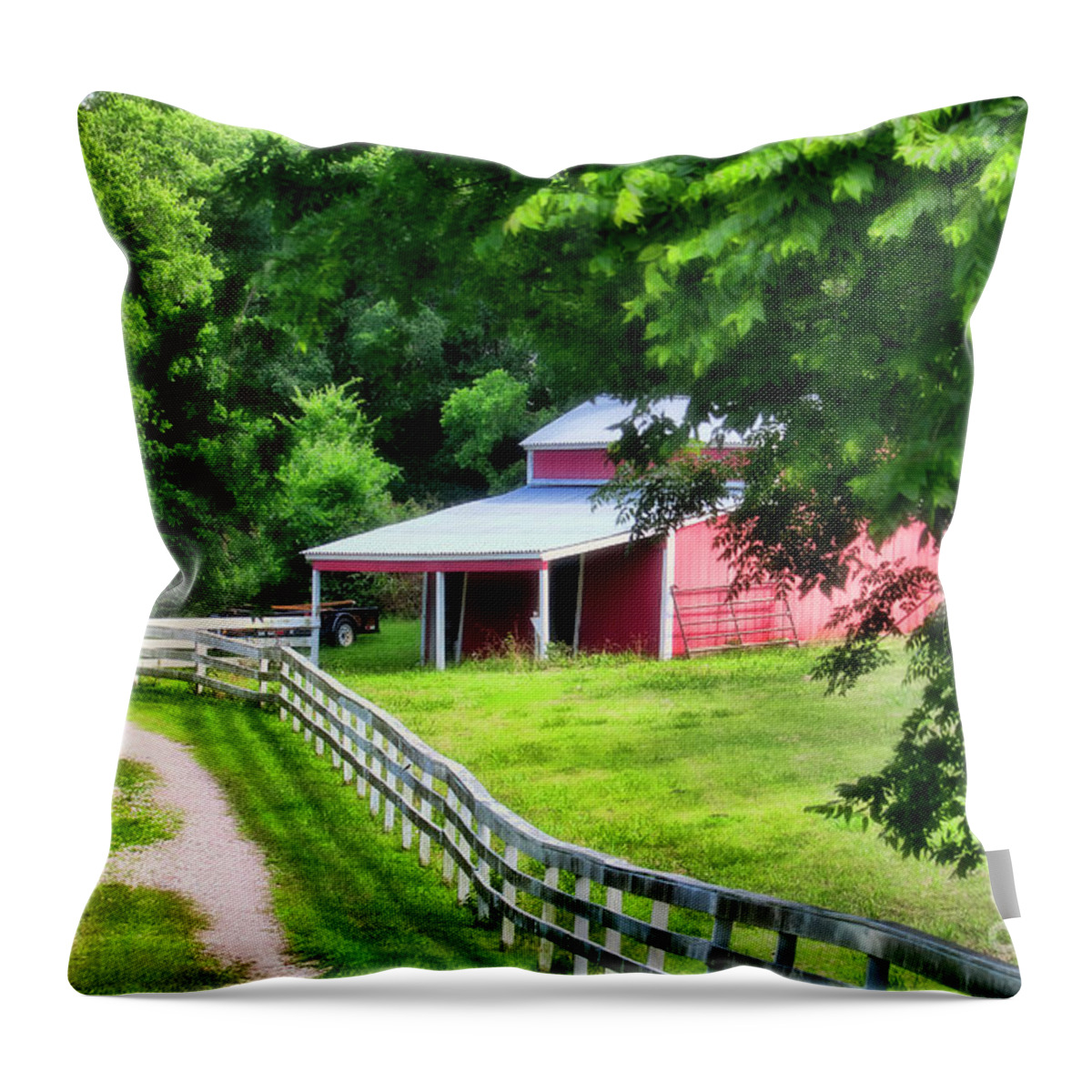 Shed Throw Pillow featuring the photograph A Little Bit Country by Joan Bertucci