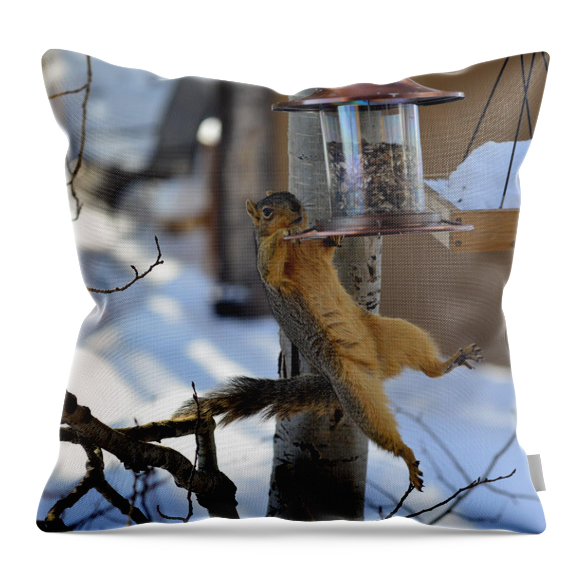 Squirrel Throw Pillow featuring the photograph A Little Help Please by Matt Swinden