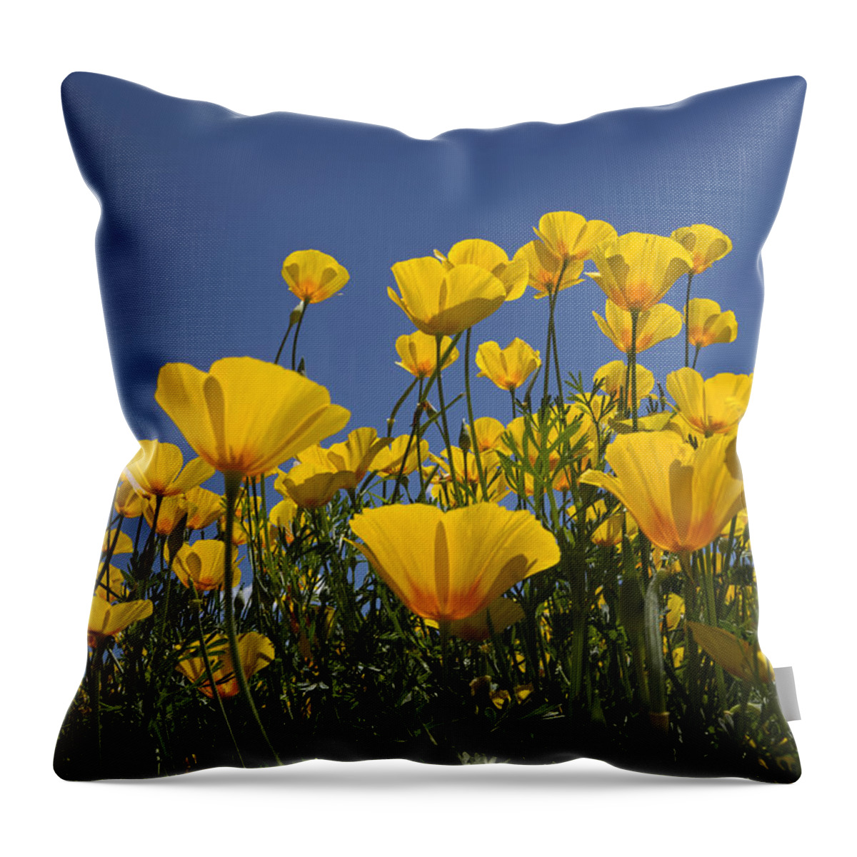 Face Mask Throw Pillow featuring the photograph A Little Sunshine by Lucinda Walter