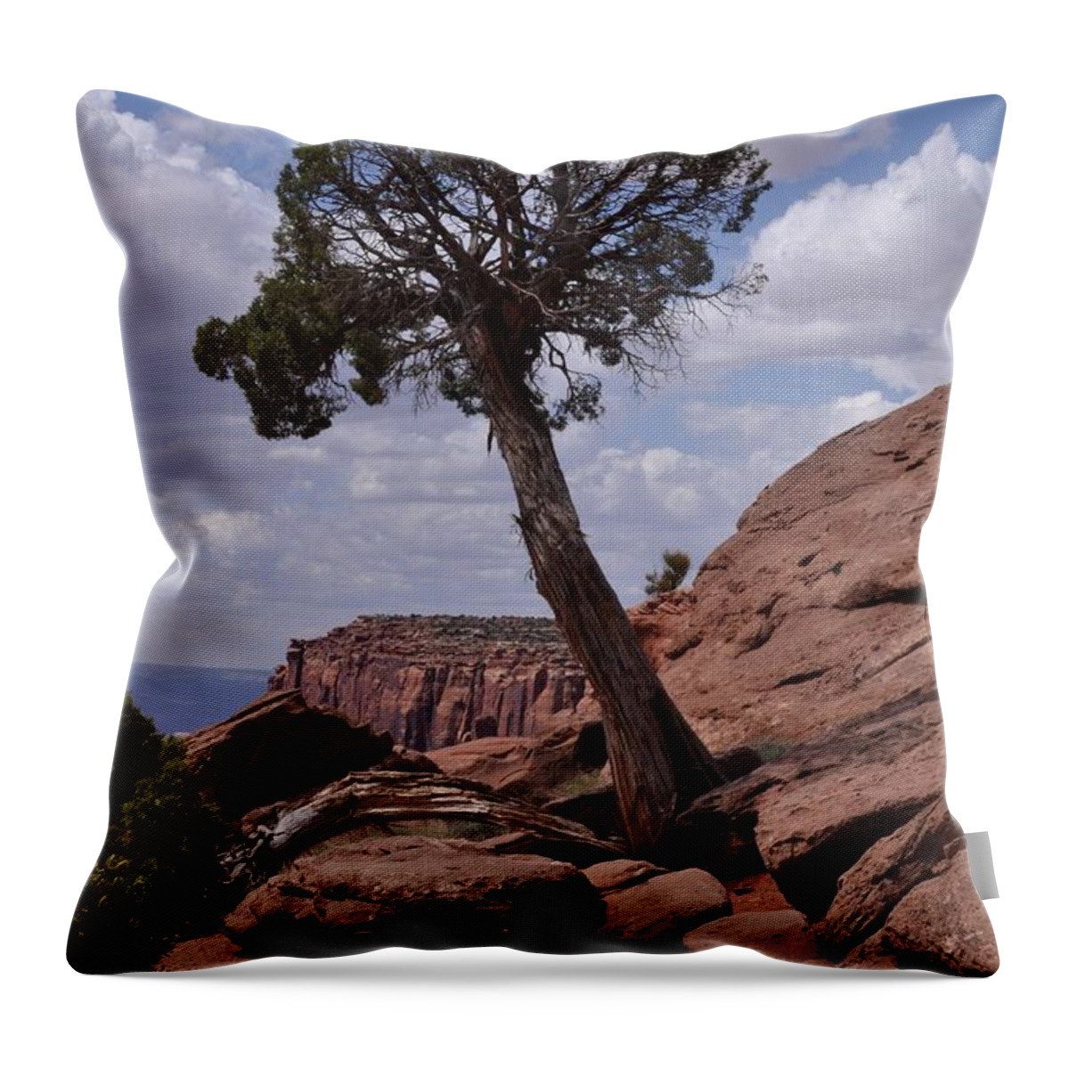 Canyonlands National Park Throw Pillow featuring the photograph A Lone Tree by Frank Madia