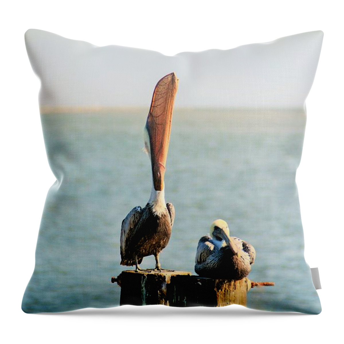 Pelican Throw Pillow featuring the photograph A Long Stretch by Jan Gelders