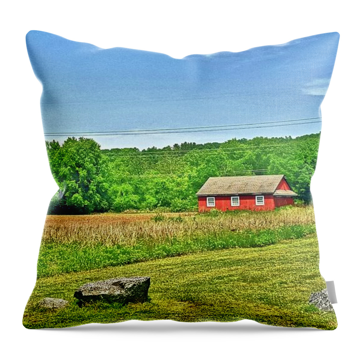 Landscape Throw Pillow featuring the photograph A Lovely Scene by Dani McEvoy