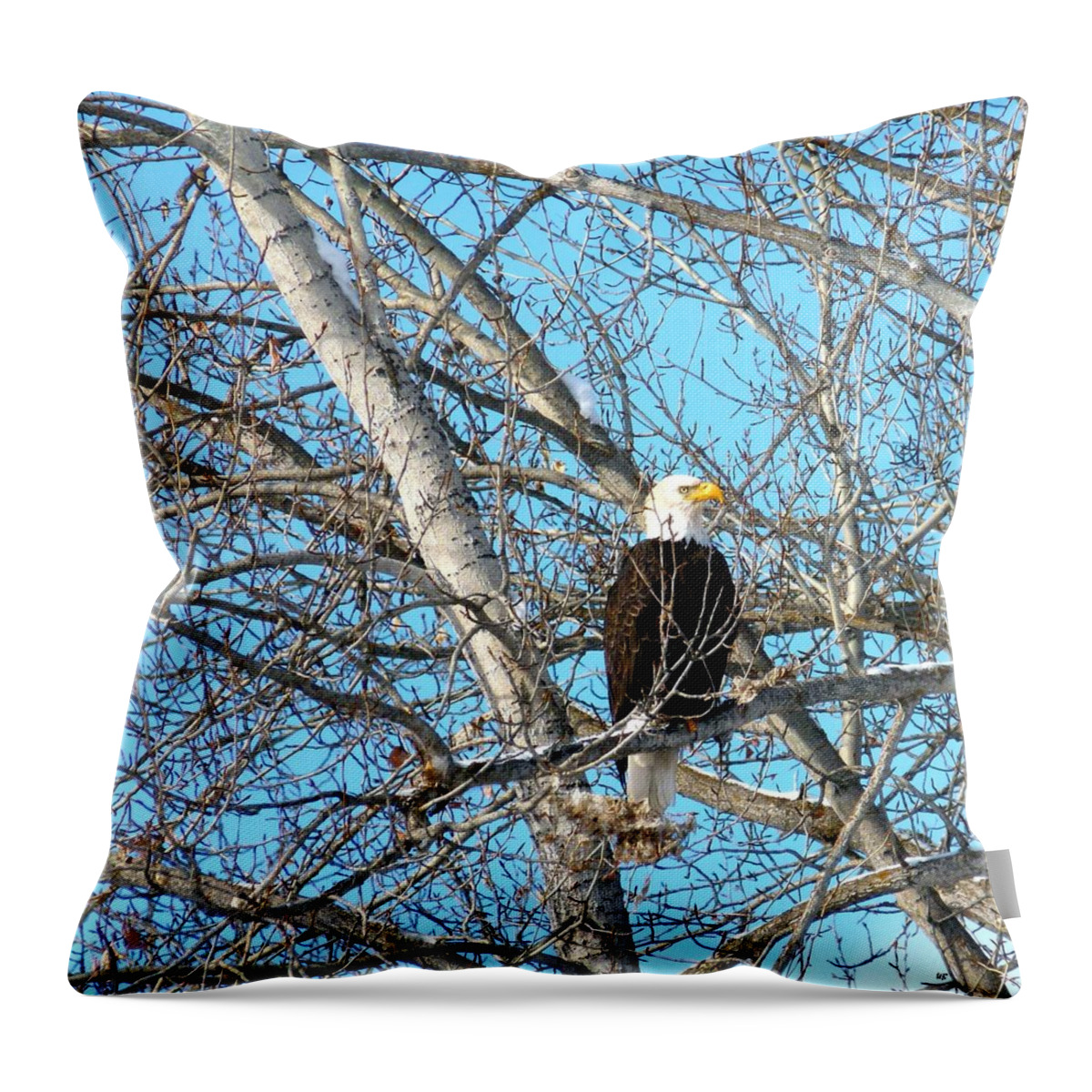 #amajesticbaldeagle Throw Pillow featuring the photograph A Majestic Bald Eagle by Will Borden