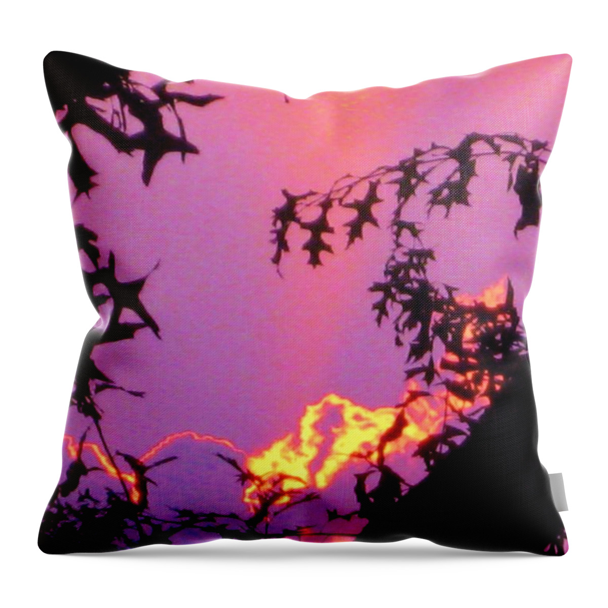 Sunset Throw Pillow featuring the photograph A Mid-Summer Sunset by Susan Carella