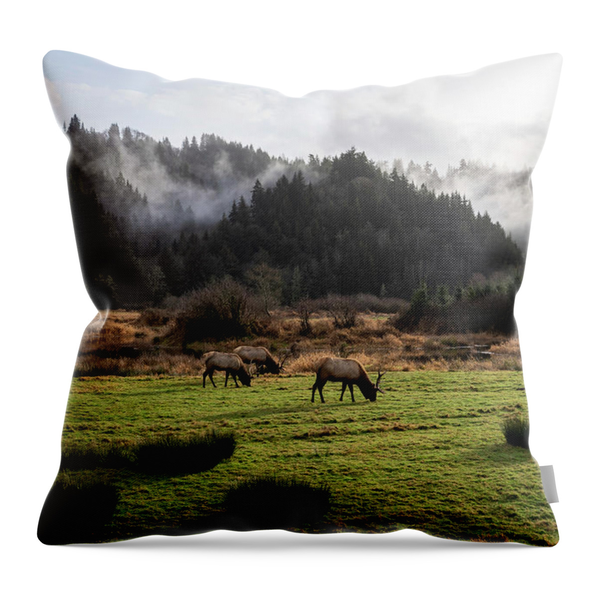 Oregon Throw Pillow featuring the photograph A Moment to Graze by Steven Clark