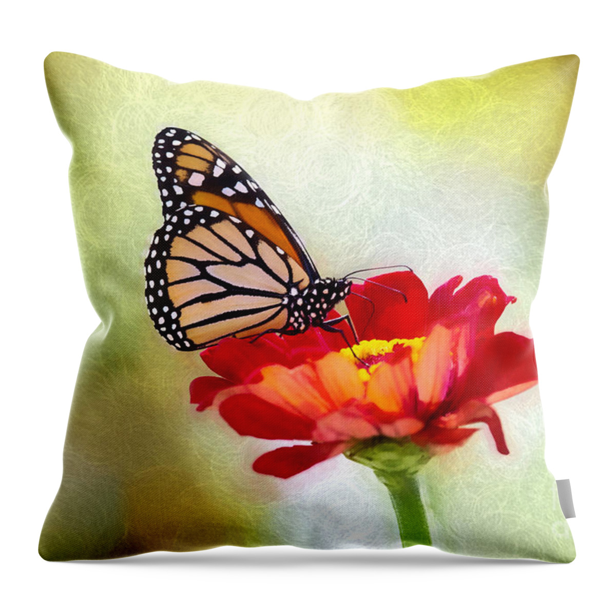 Nature Throw Pillow featuring the photograph A Monarch Moment by Sharon McConnell