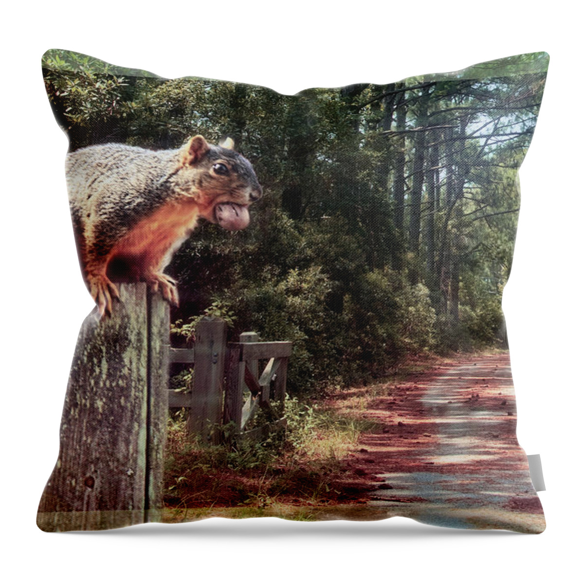 Squirrel Throw Pillow featuring the photograph A Mouth Full by Bonnie Willis