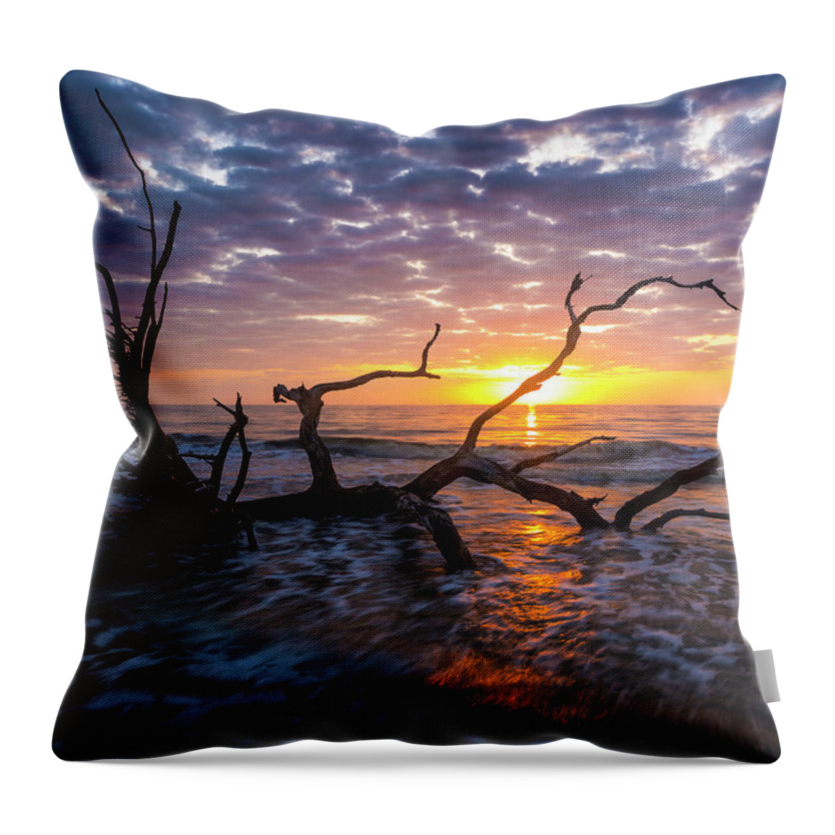Jekyll Island Throw Pillow featuring the photograph A New Beginning by Ray Silva
