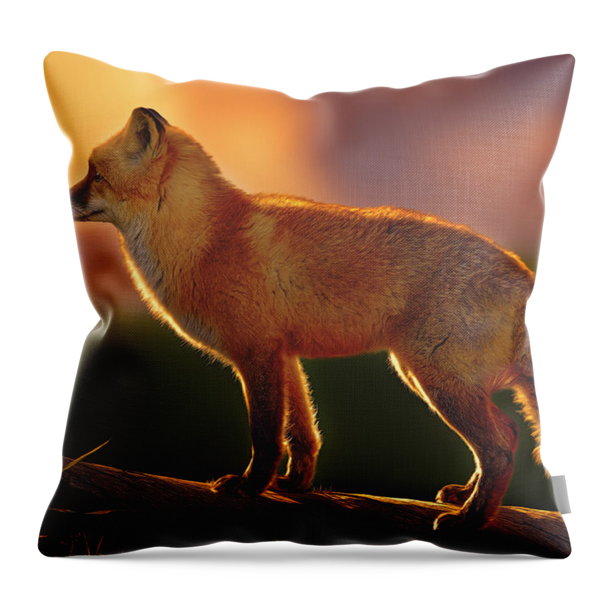 Animal Throw Pillow featuring the photograph A New Day Dawning by Brian Cross