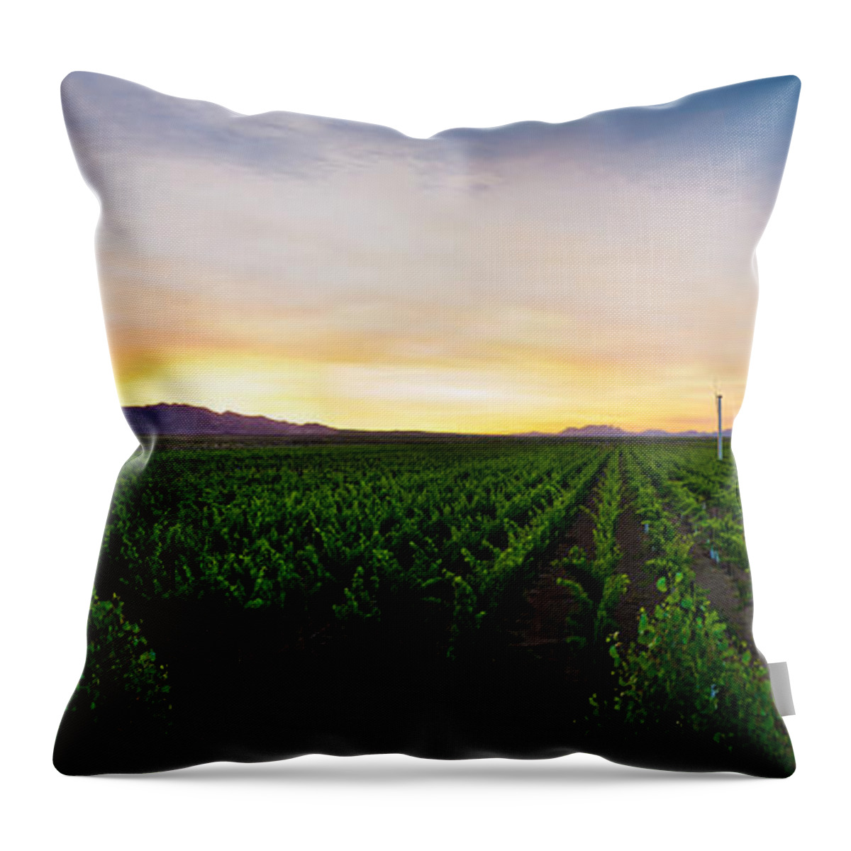 Wine Throw Pillow featuring the photograph A New Day in the Field by Swift Family