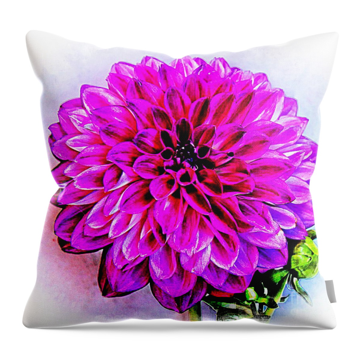 Dahlia Throw Pillow featuring the photograph A Painted Dahlia by Clare Bevan