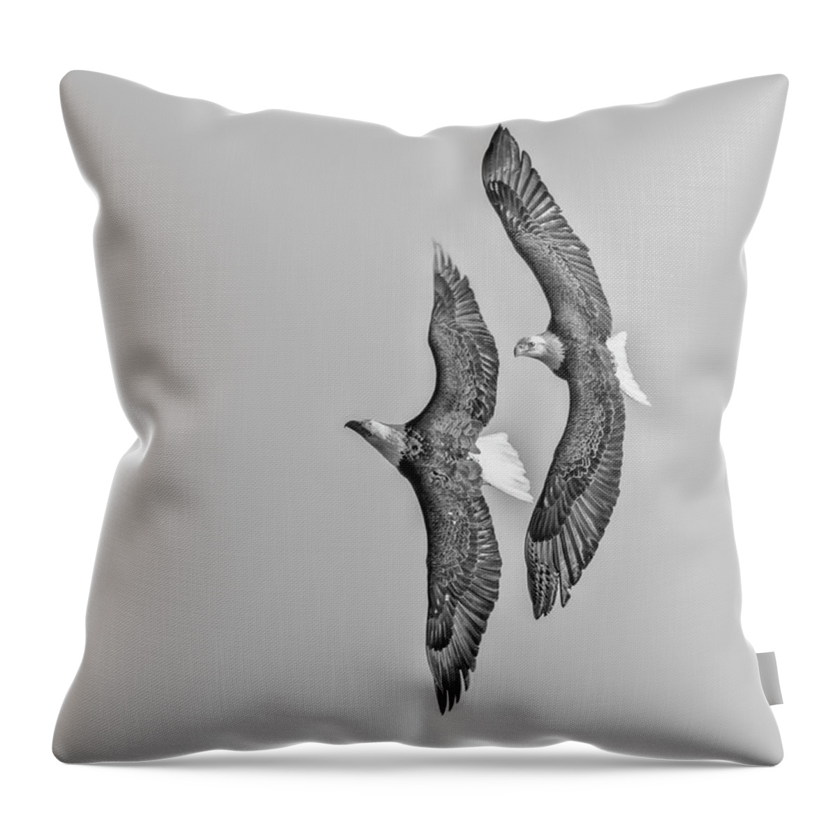 American Bald Eagles Throw Pillow featuring the photograph A Pair of American Bald Eagles 2017-1 by Thomas Young