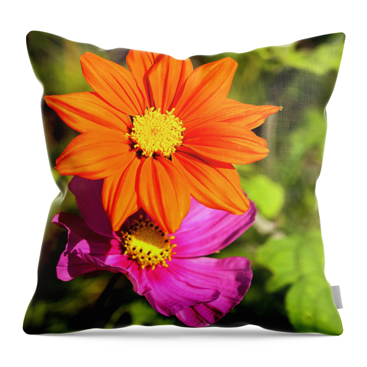 Mexican Sunflower Throw Pillow featuring the photograph A Pair Of Flowers 2017 by Thomas Young