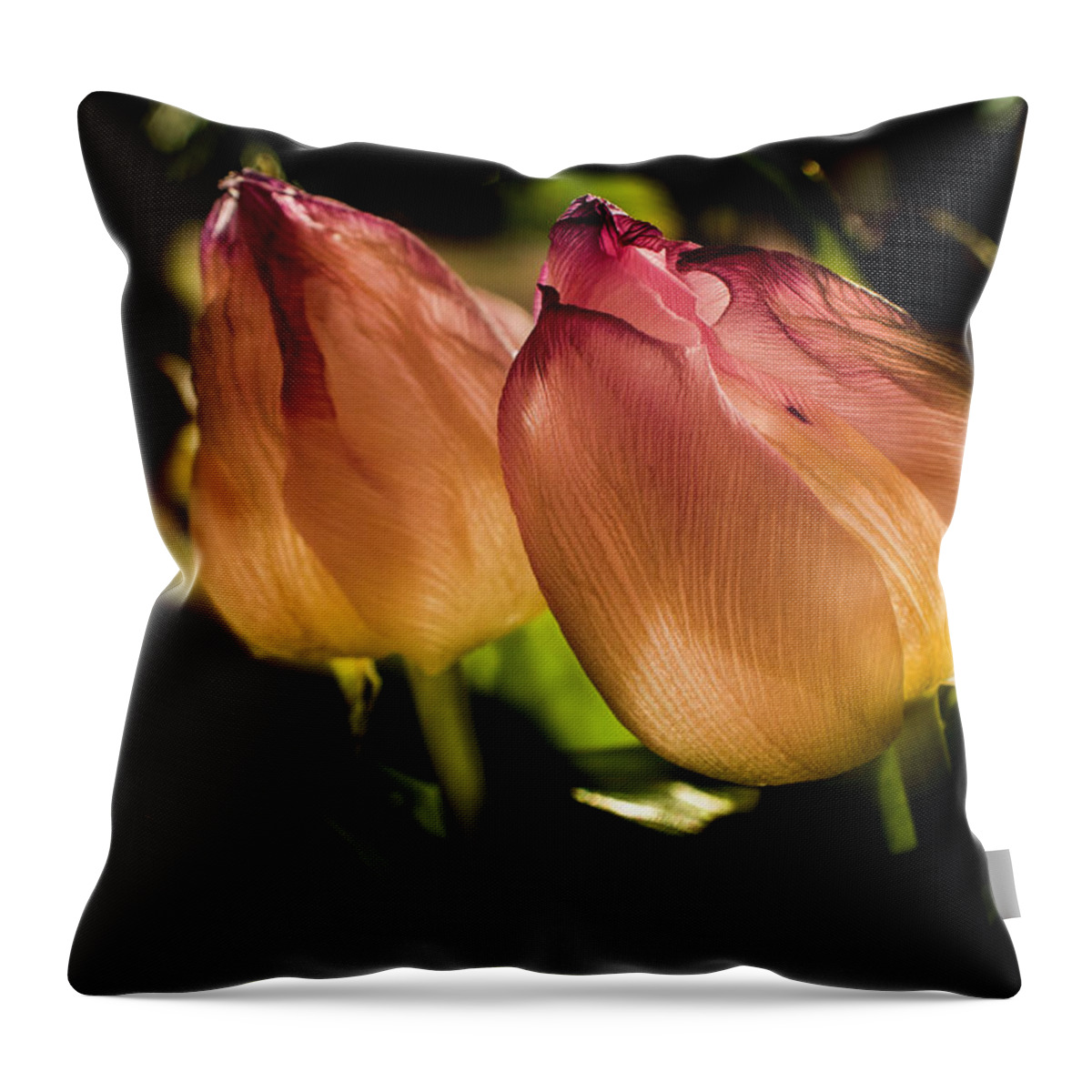 Wostphoto Throw Pillow featuring the photograph A pair of Tulips by Wolfgang Stocker