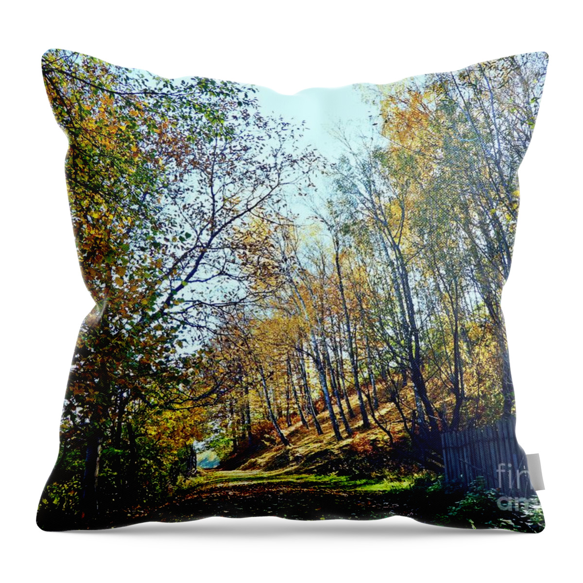 Path Throw Pillow featuring the photograph A path in the autumn by Amalia Suruceanu