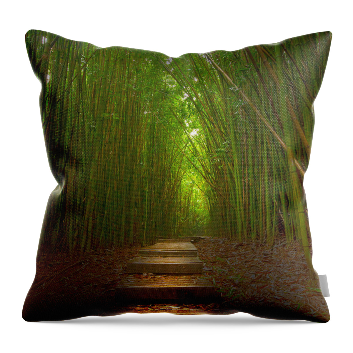 Hana Maui Hawaii Bamboo Forest Tropical Throw Pillow featuring the photograph A Path Less Traveled by James Roemmling
