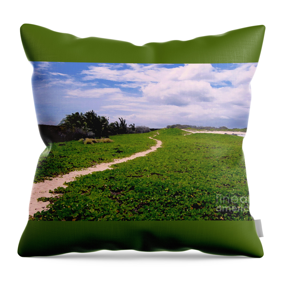 Sand Dunes Throw Pillow featuring the photograph A Path Thru the Dunes by Bette Phelan