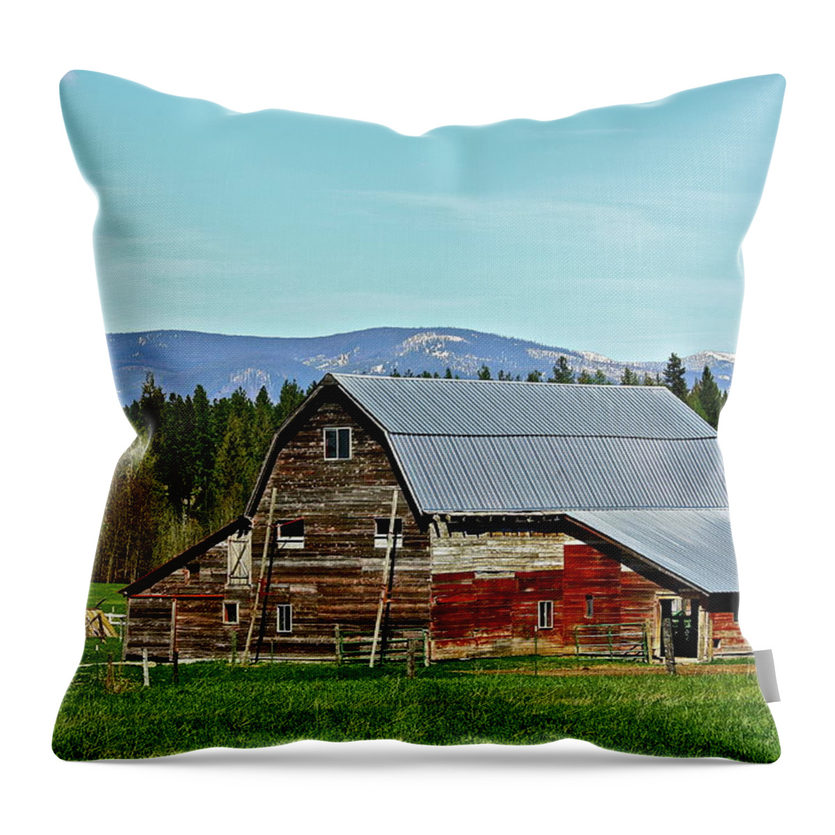 Barn Throw Pillow featuring the photograph A Peaceful Place by Diana Hatcher